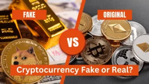 Kibo Cryptocurrency Fake or Real?