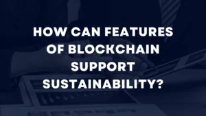 How Can Features of Blockchain Support Sustainability?