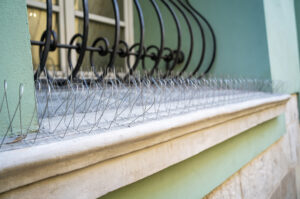 Effective Pigeon Deterrents