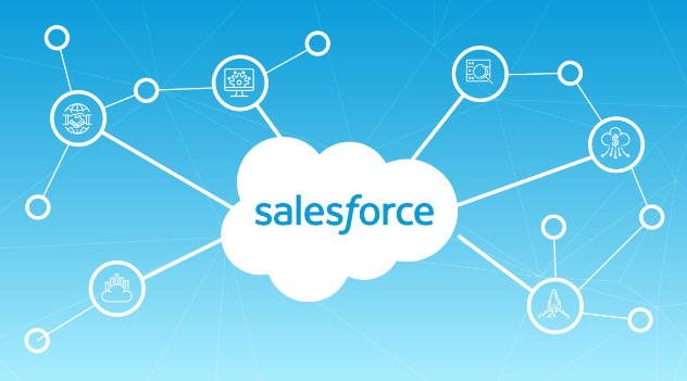 Leveraging the Full Potential of Salesforce OmniStudio-Developer