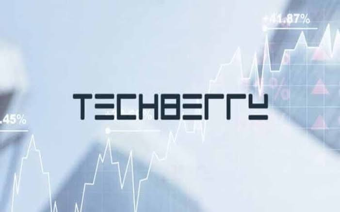 TechBerry Review: The Best that Social Analytics Provides